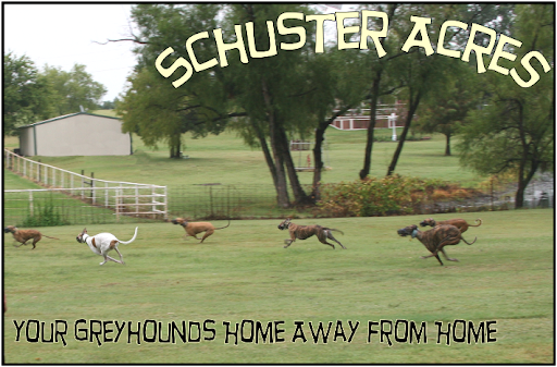 Schuster Acres, Your Greyhounds Home Away from Home