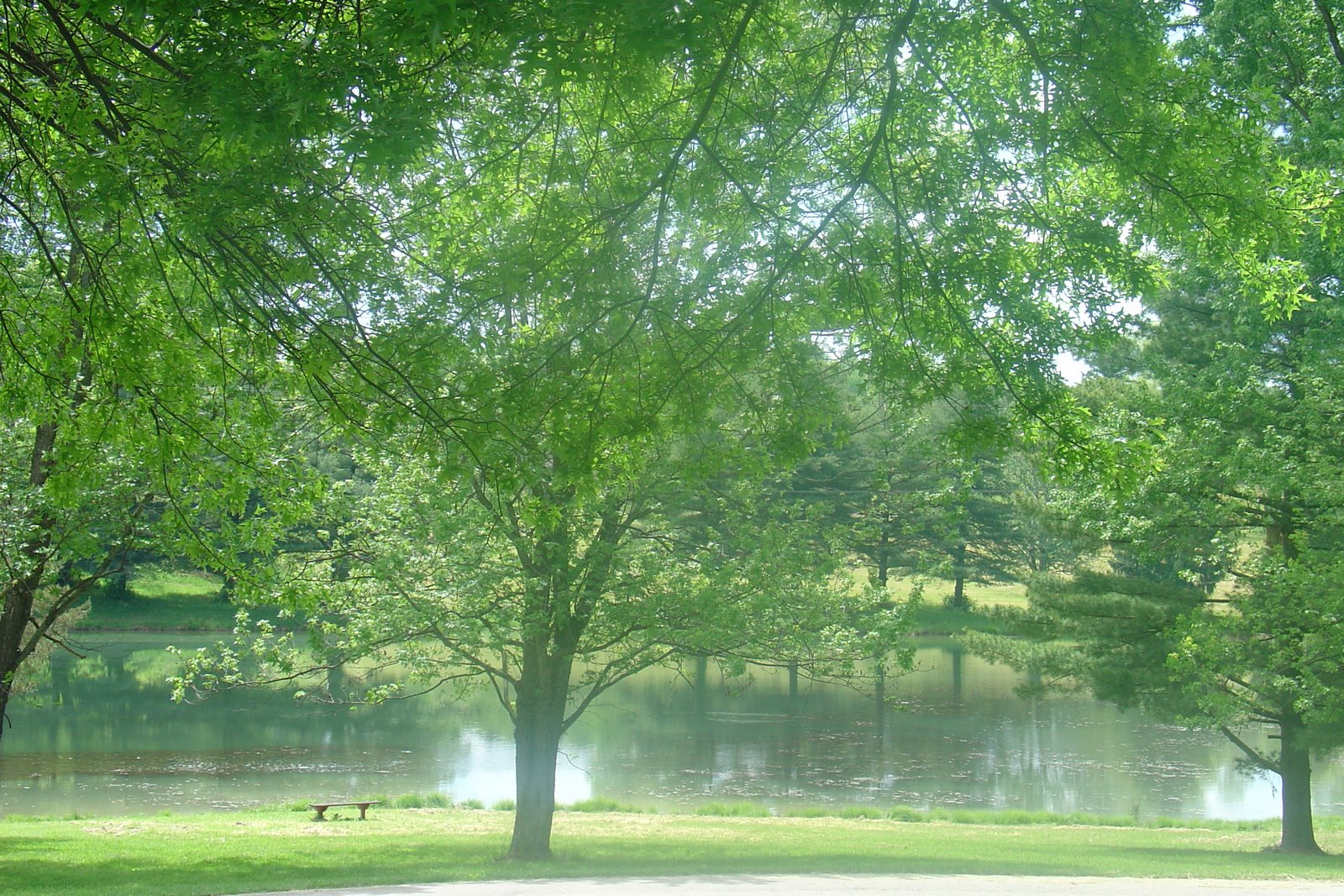 [DSC03607.JPG]