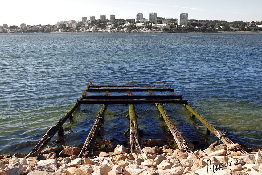 [RUICS_8922_72dpi.jpg]