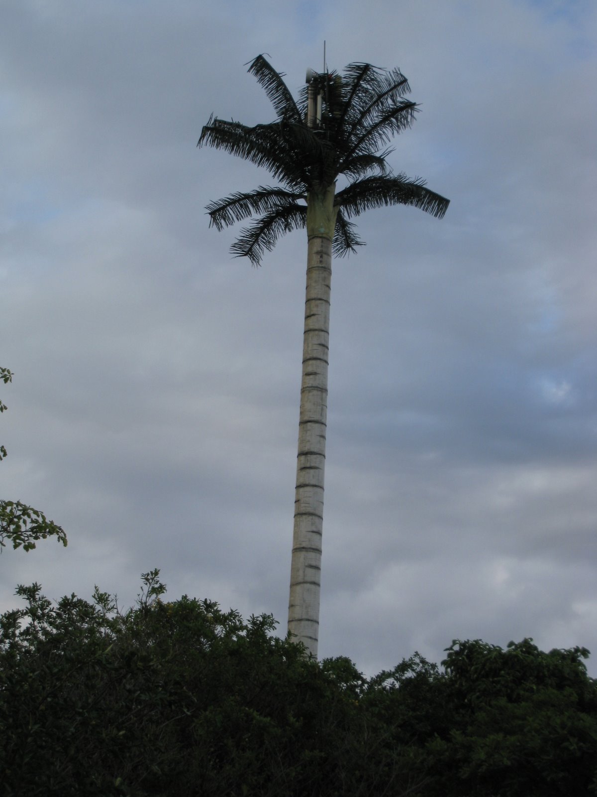 [IMG_0816.JPG]