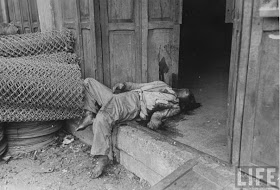 V Eltenbummler Vegan Verreisen Latest Snapshot Chan 14261928