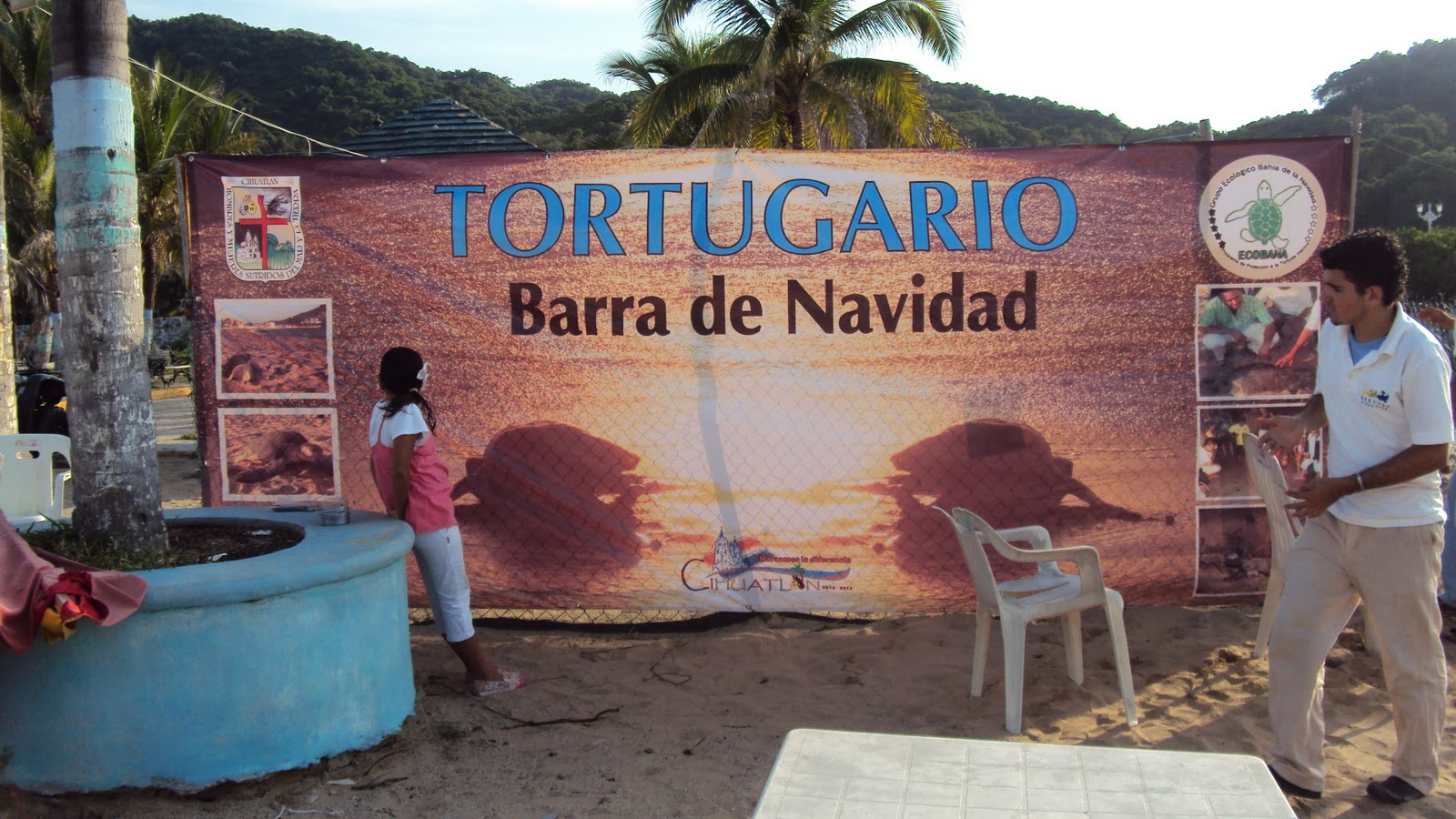 Living Barra de Navidad Sea Turtle Preservation and Release in Barra