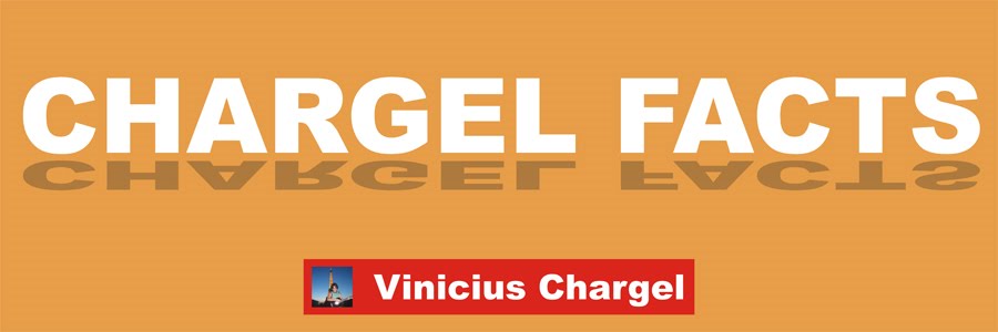 Chargel Blog