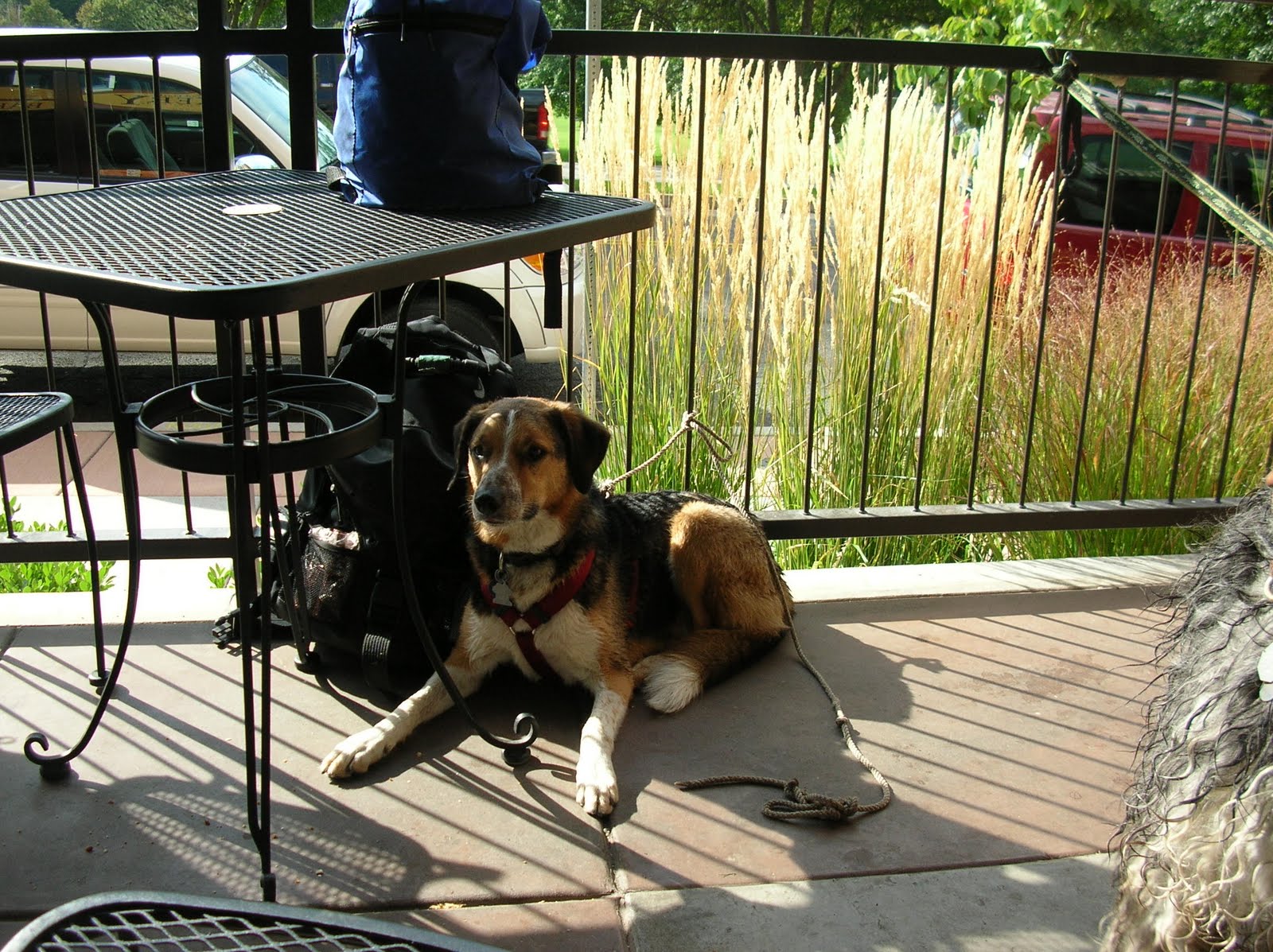[DSCN0450.JPG]