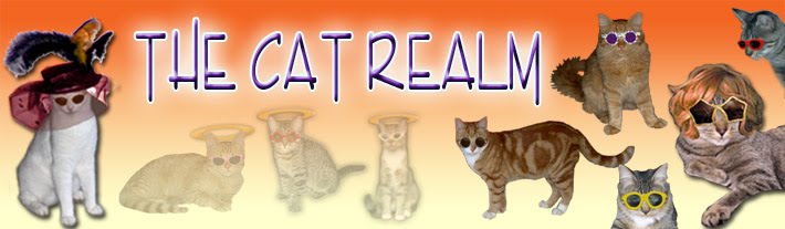 THE CAT REALM
