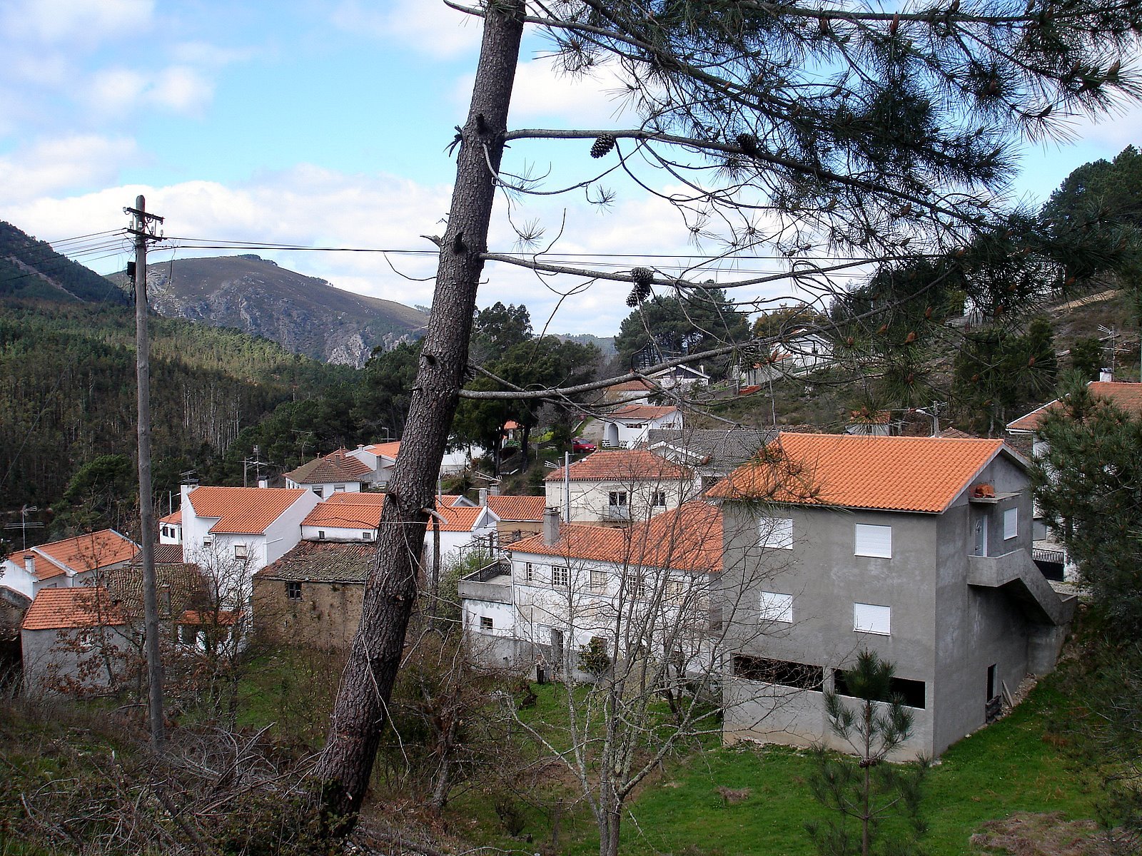 [DSC06093.JPG]