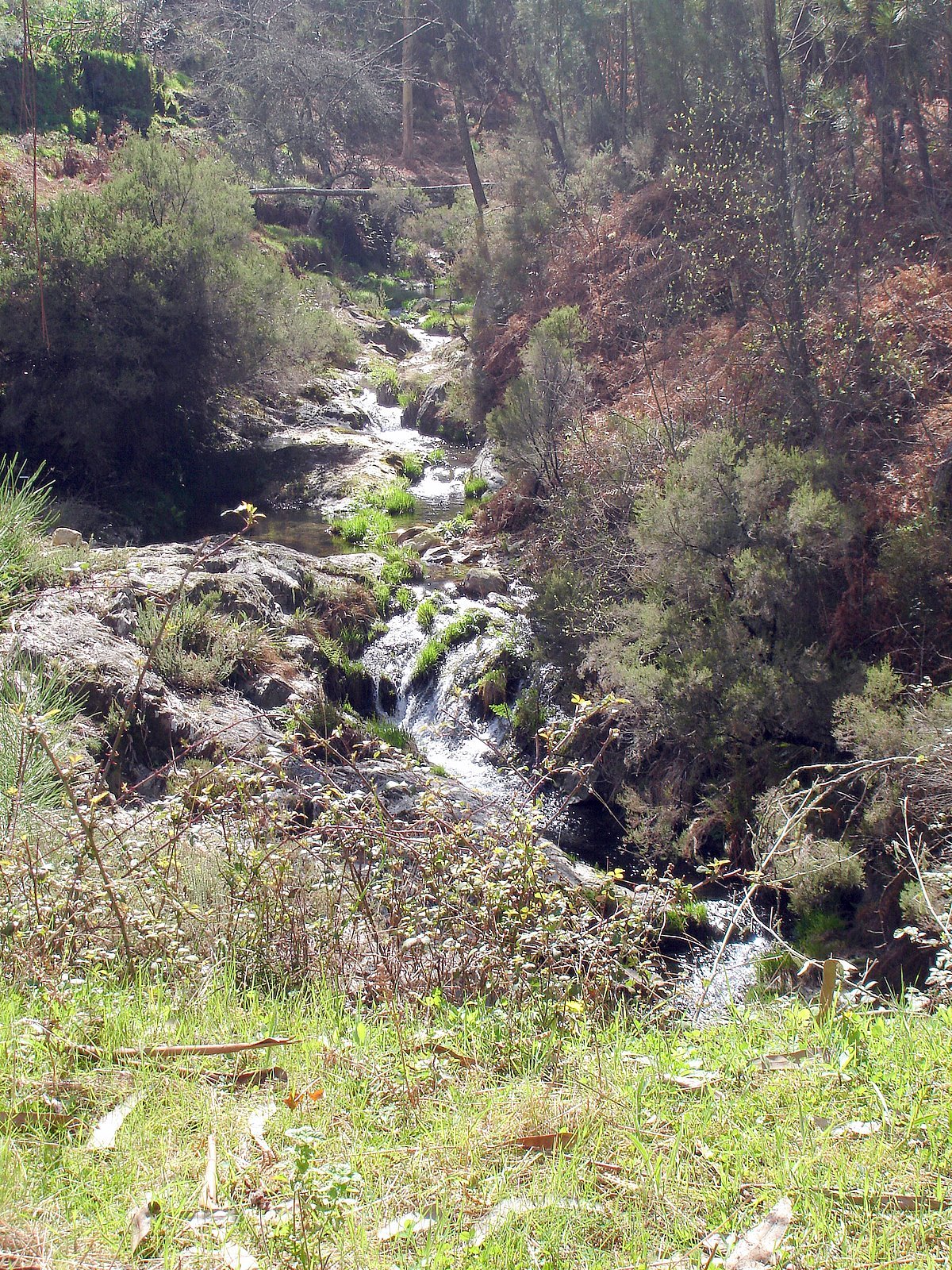 [DSC06112.JPG]