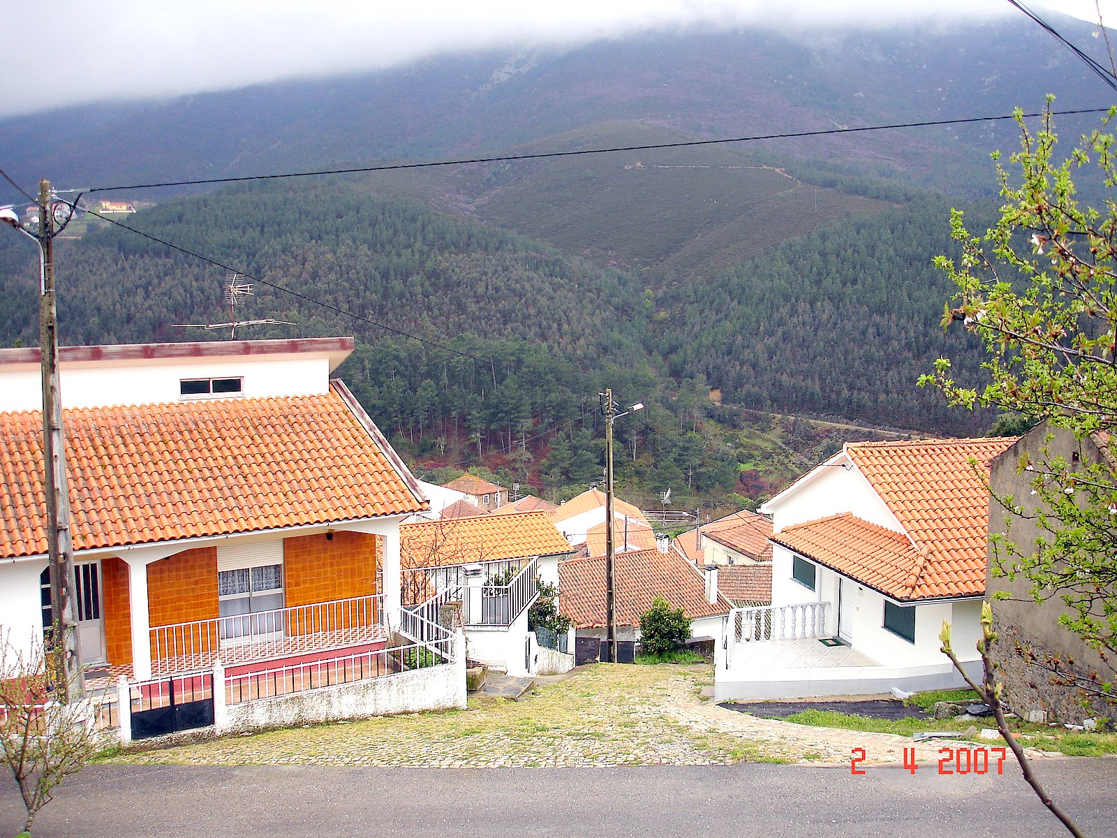[DSC01754.JPG]