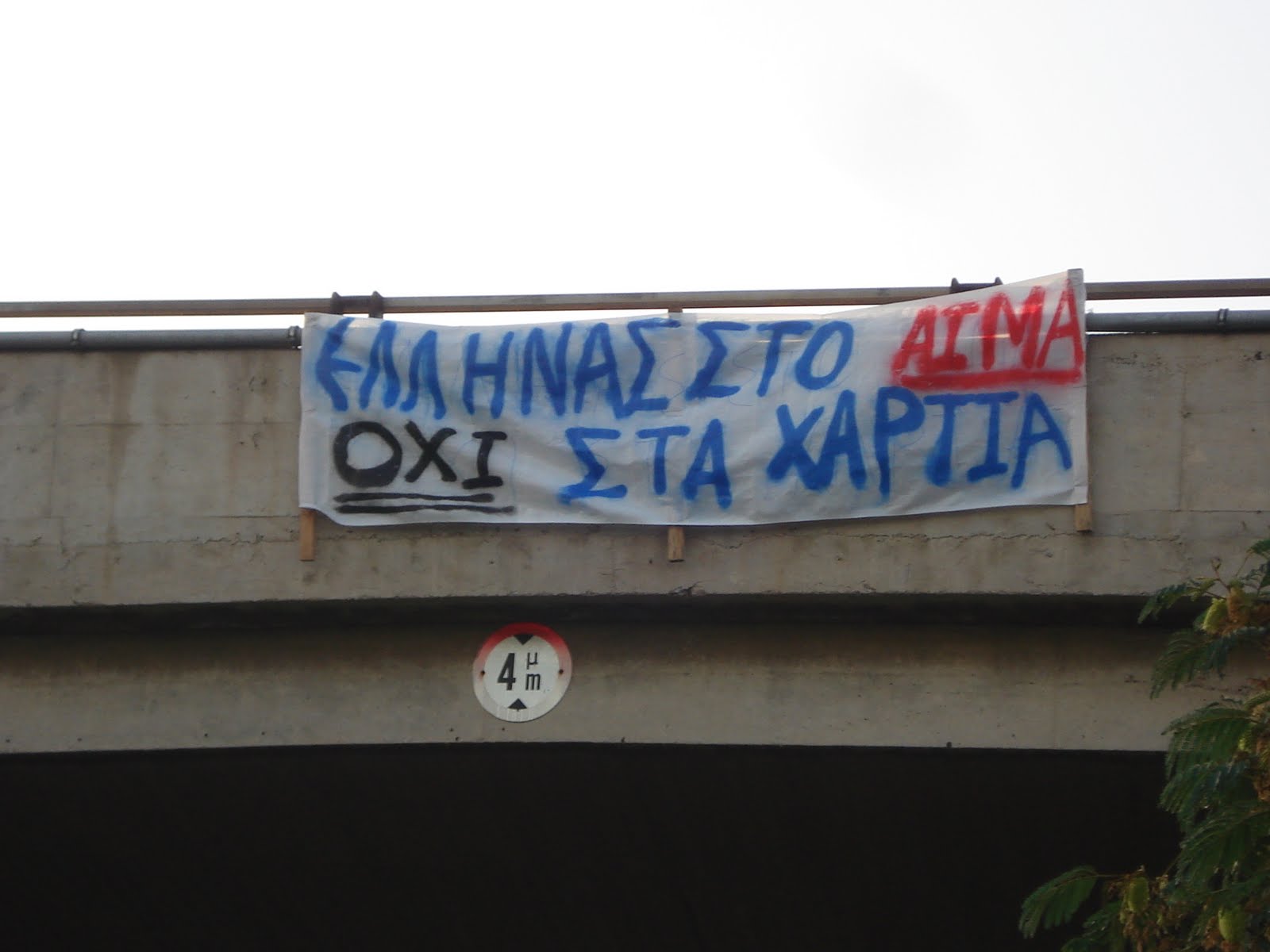 [OER1.JPG]