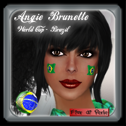 Angie-world-cup-vendor-brazil.png