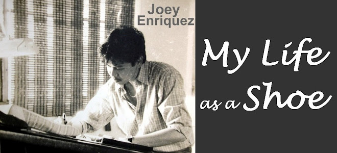 Joey Enriquez, My Life As A Shoe