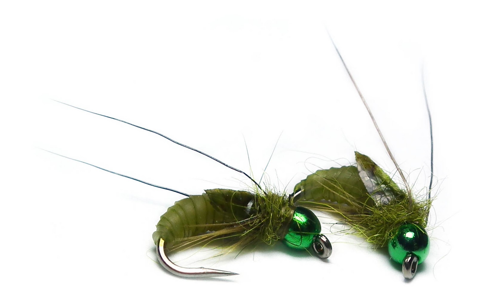 The African Fly Angler Nymph Skin Pupa