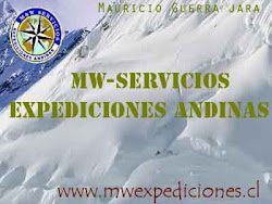 MWEXPEDICIONES.CL