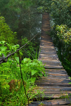 Puentes  ( autor desconocido )