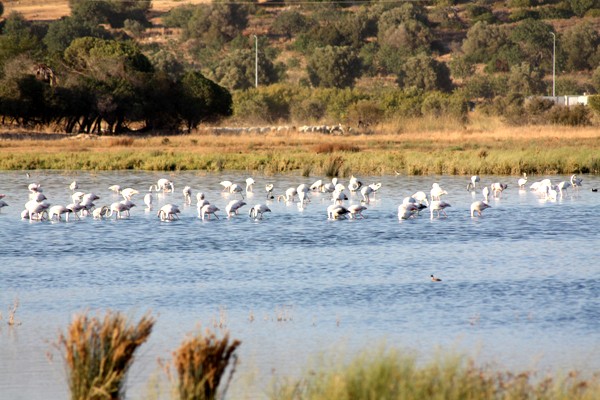 [algarve_004.jpg]