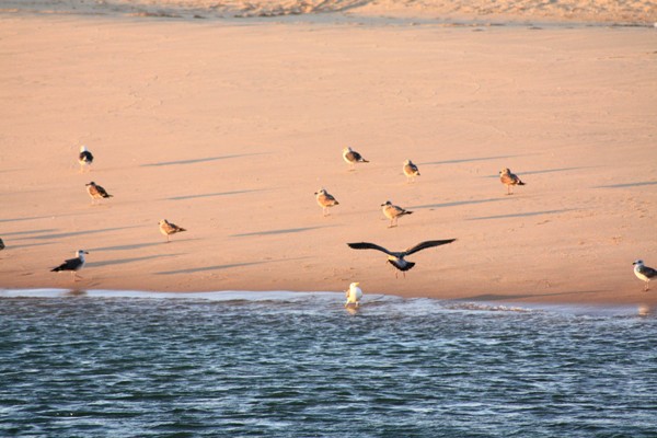 [lagoa+Albufeira+006.JPG]