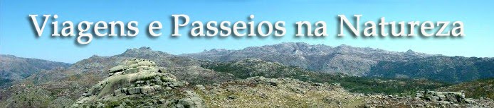 Viagens e Passeios na Natureza