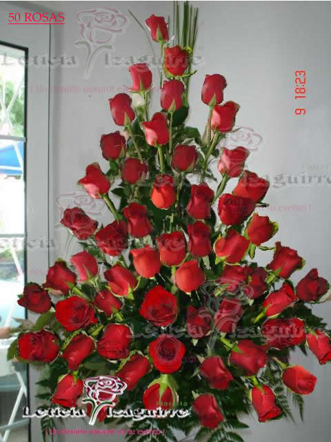 [rosa+11.jpg]