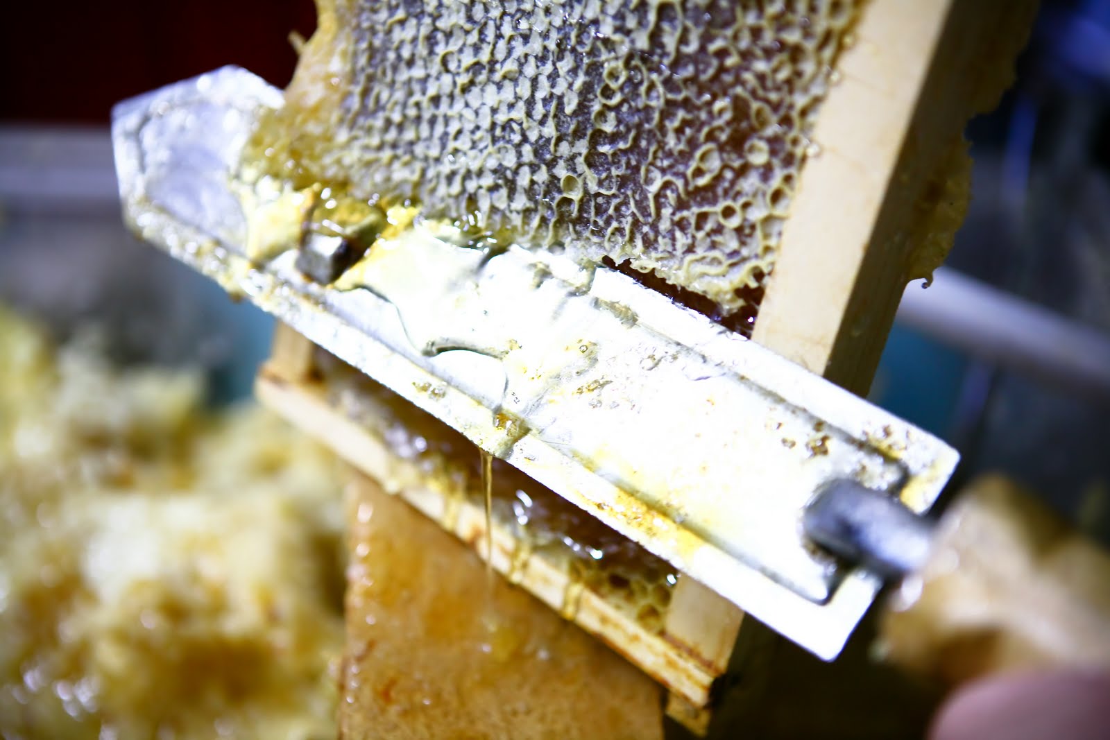 ST Photography Honey Harvest