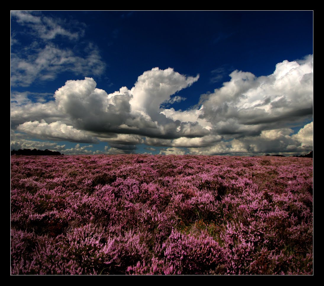 Hadley and Harper July 2010