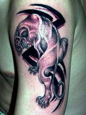 Beautiful Tiger Tattoo and Tribal Tattoo Design on Arms.