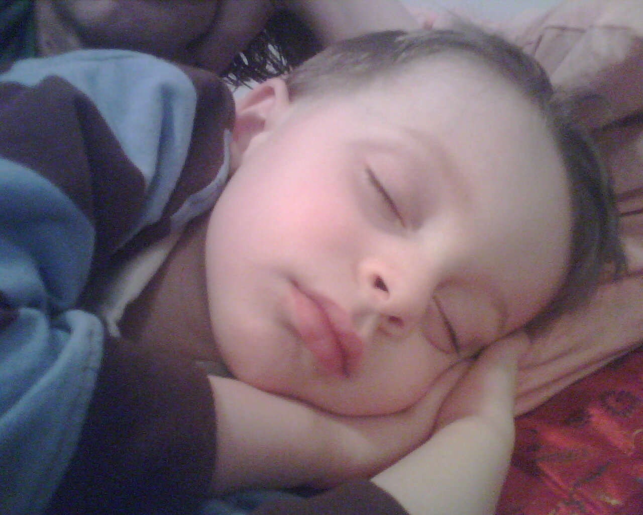 [=?Windows-1252?B?SU1HMDExNTUuanBn?=-778305]