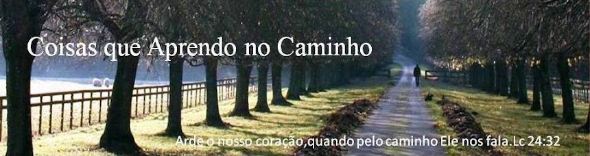 Coisas que Aprendo no Caminho