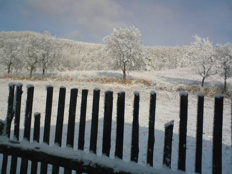 [image-upload-245-700276.jpe]