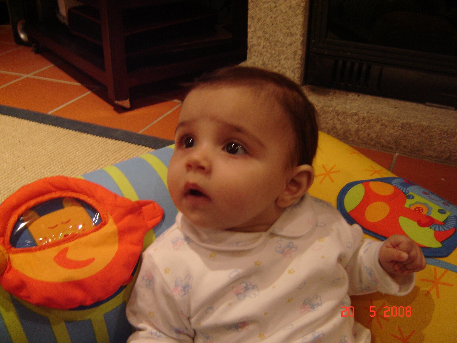 [DSC00599.JPG]