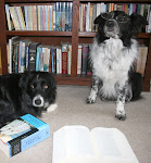 The Border Collies