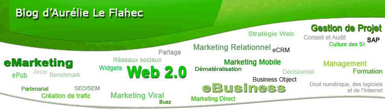 E-marketing - E-media - Web 2.0