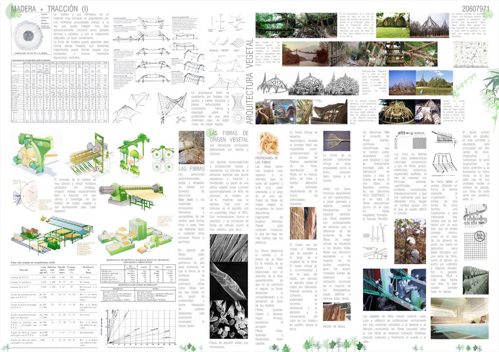 Arquitectura Vegetal