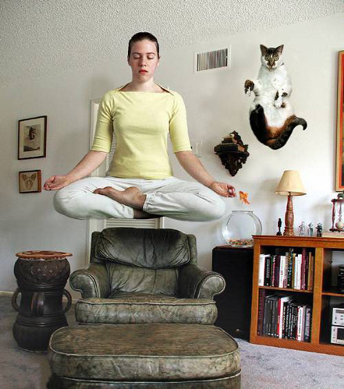 yoga-pose-cat.jpg