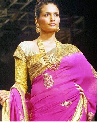 Designer Sarees at Kolkata Fashion Week 2009