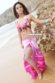 Actress Neetu Chandra Hot Bikini Pictures