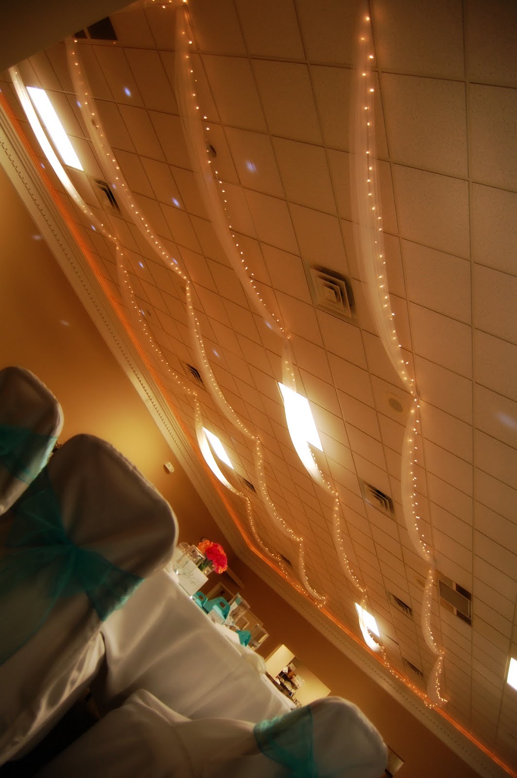 Ceiling Decor Toledo Wedding Planner Perrysburg Wedding Planner