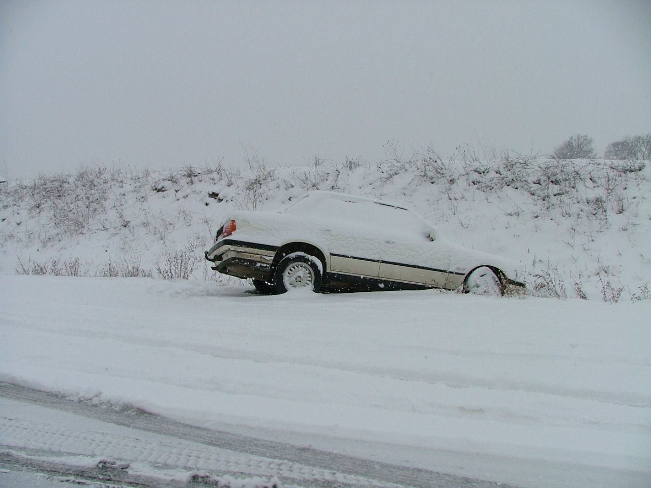 [DSCF2260.JPG]