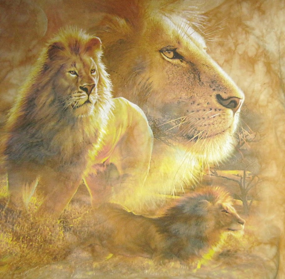 Lions Mouth Open
