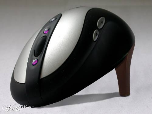[mouse.jpeg]