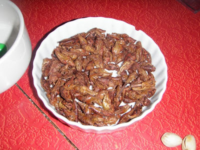 bowl of crickets