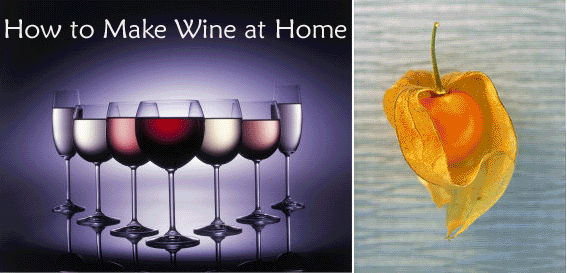 HOW TO MAKE WINE AT HOME