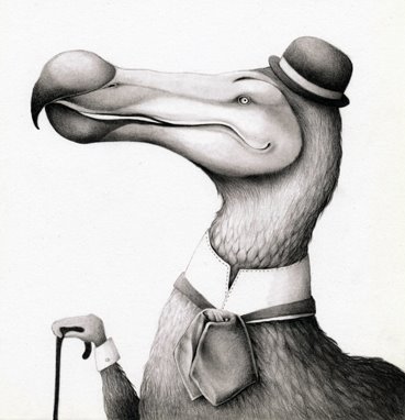 [dodo.jpg]