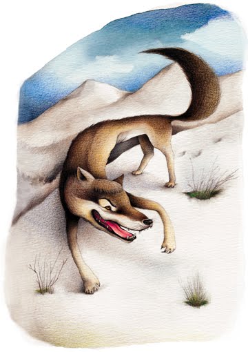[Ester+Garcia_wolf.jpg]