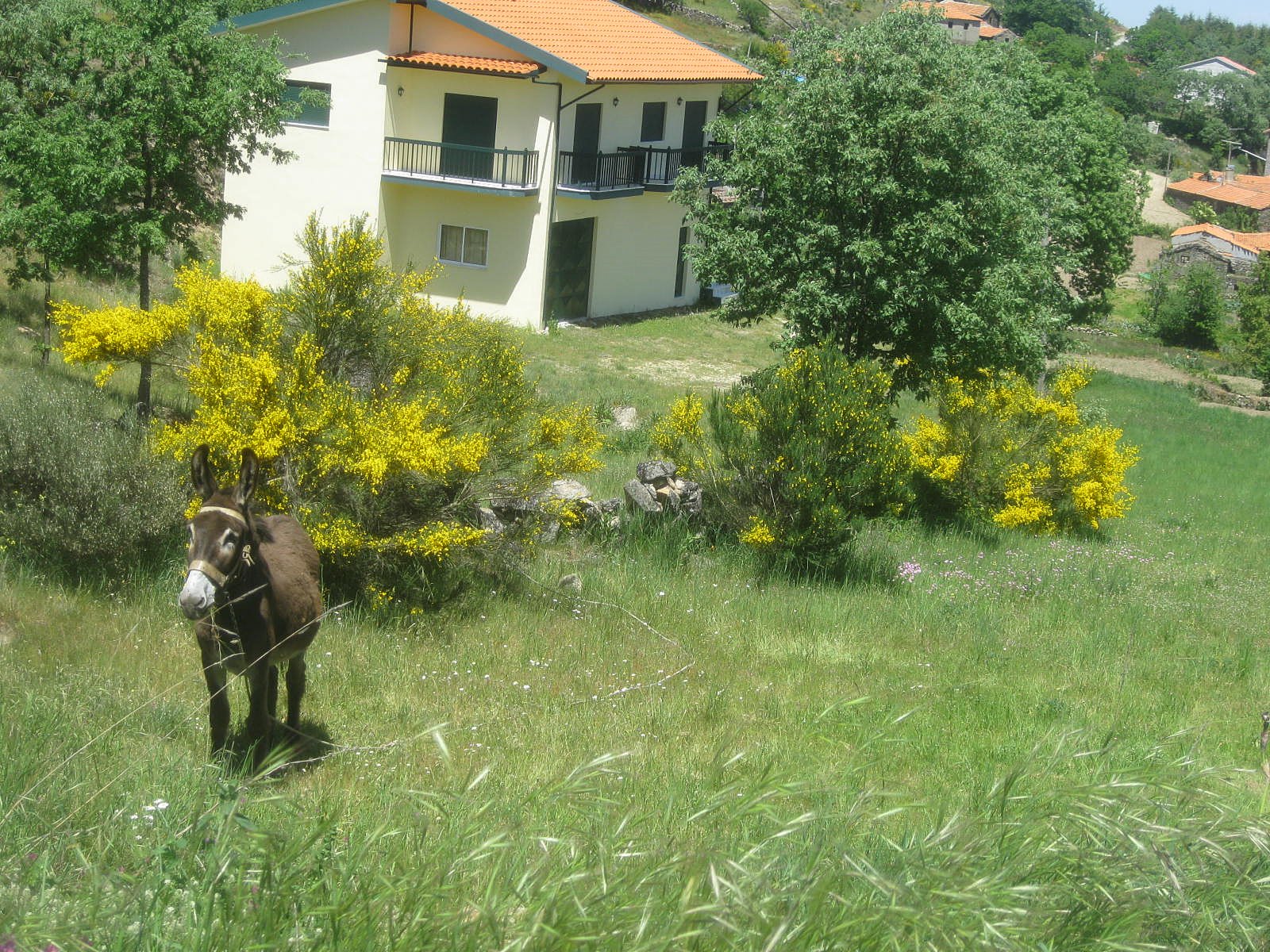 [IMG_2137.JPG]
