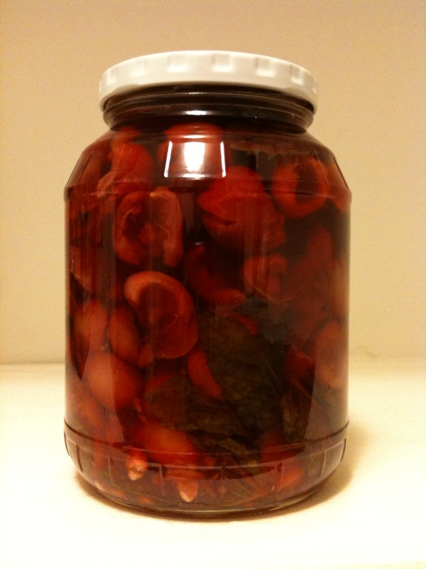[cherries.jpg]