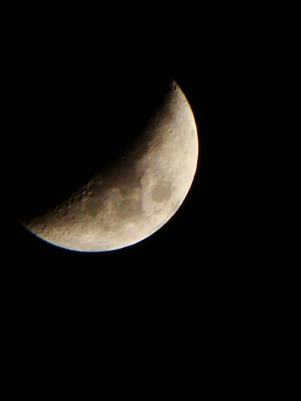 [DSC01101.JPG]