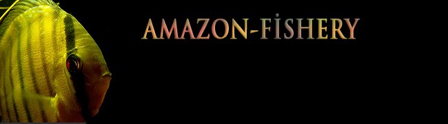 Amazon-Fishery