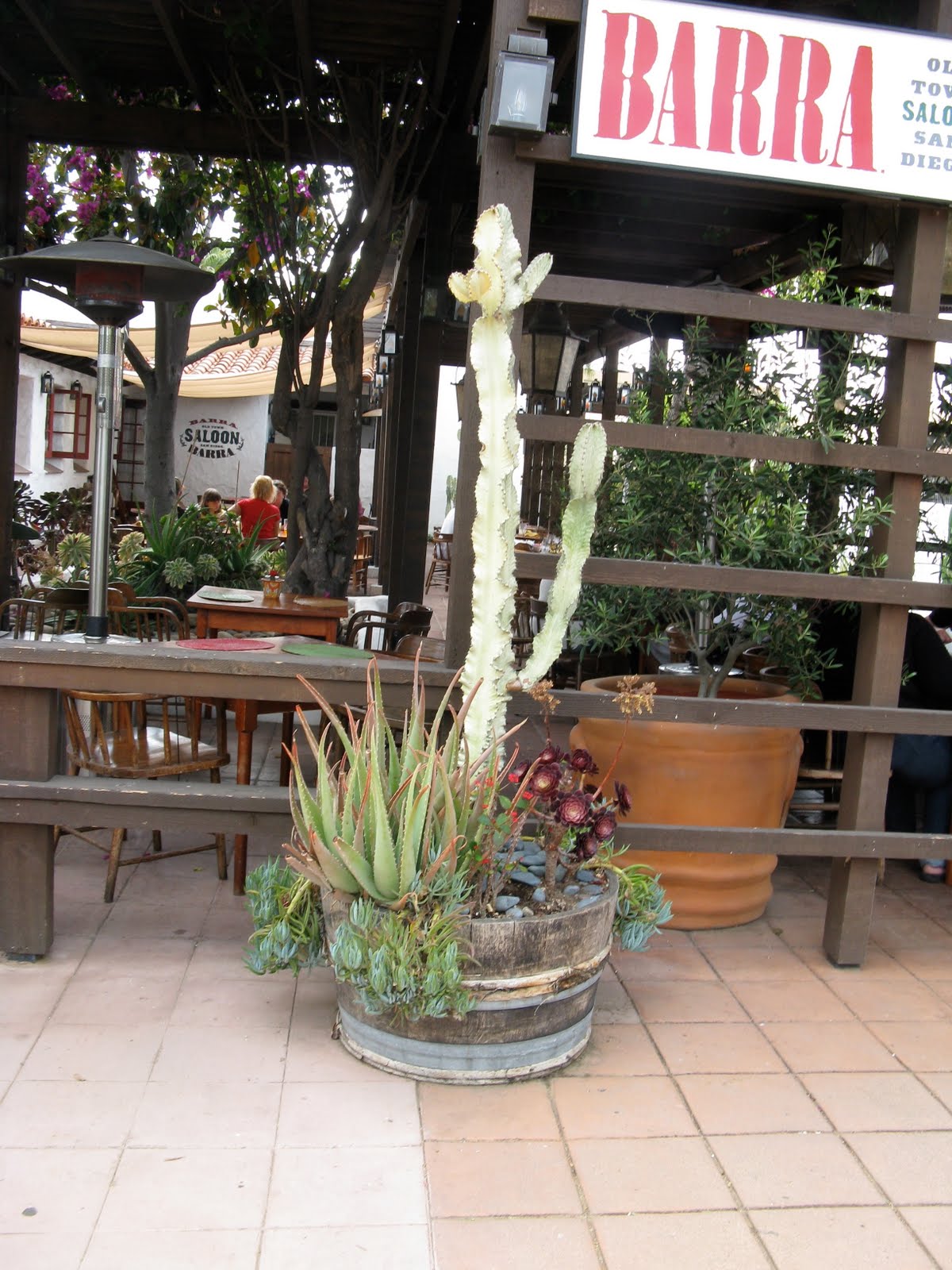 Apt Garden: Desert Gardens in Old Town San Diego