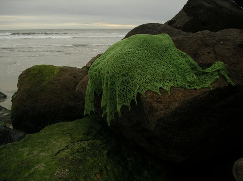 [2334203240_b0da5fa85e_b_medium.jpg]