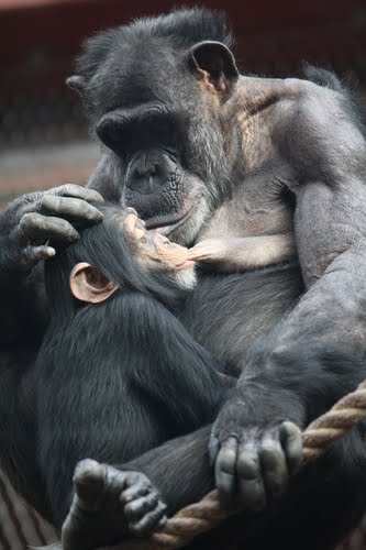 Finanzen Digitale Tanzformation